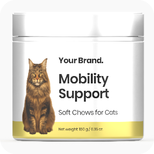 Mobility Support